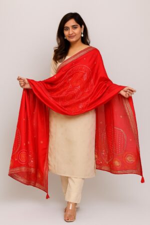 Evenfall Rosewood Silk Jquard Kurta Set